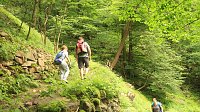 Sonntagswanderung bei Thale Bild: Sonntagswanderung bei Thale
