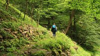Sonntagswanderung bei Thale Bild: Sonntagswanderung bei Thale