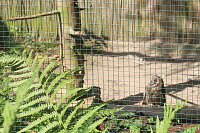 Sonntagswanderung bei Thale Bild: Sonntagswanderung bei Thale