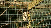 Sonntagswanderung bei Thale Bild: Sonntagswanderung bei Thale