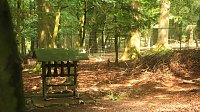 Sonntagswanderung bei Thale Bild: Sonntagswanderung bei Thale