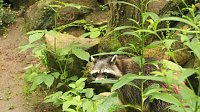 Sonntagswanderung bei Thale Bild: Sonntagswanderung bei Thale