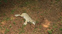 Sonntagswanderung bei Thale Bild: Sonntagswanderung bei Thale