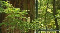 Sonntagswanderung bei Thale Bild: Sonntagswanderung bei Thale