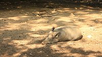 Sonntagswanderung bei Thale Bild: Sonntagswanderung bei Thale
