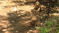 Sonntagswanderung bei Thale Bild: Sonntagswanderung bei Thale