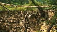 Sonntagswanderung bei Thale Bild: Sonntagswanderung bei Thale