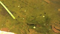 Sonntagswanderung bei Thale Bild: Sonntagswanderung bei Thale