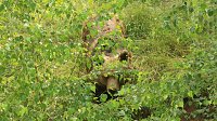 Sonntagswanderung bei Thale Bild: Sonntagswanderung bei Thale