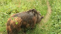 Sonntagswanderung bei Thale Bild: Sonntagswanderung bei Thale