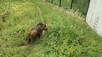 Sonntagswanderung bei Thale Bild: Sonntagswanderung bei Thale