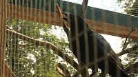 Sonntagswanderung bei Thale Bild: Sonntagswanderung bei Thale
