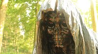 Sonntagswanderung bei Thale Bild: Sonntagswanderung bei Thale