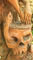 Sonntagswanderung bei Thale Bild: Sonntagswanderung bei Thale