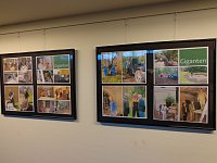 Neue Ausstellung in KSK-Galerie Bild: Neue Ausstellung in KSK-Galerie