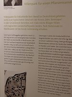 Neue Ausstellung in KSK-Galerie Bild: Neue Ausstellung in KSK-Galerie