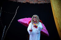 Bild: Ein Sommernachtstraum