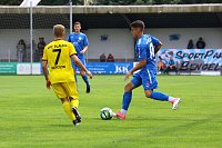 3:1 Sieg im Testspiel gegen Plauen Bild: 3:1 Sieg im Testspiel gegen Plauen