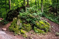 Ausflug zur Burgrunie Hohnstein Bild: Ausflug zur Burgrunie Hohnstein