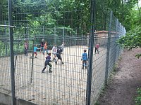 Bild: Erlebnisreiche Tage im Schneckenhengst