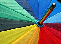 Bild: Auch im Regen sch&ouml;n: Der Ahornpark in Ilfeld