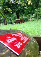Bild: Auch im Regen sch&ouml;n: Der Ahornpark in Ilfeld