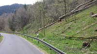 Bild: Naturschutz im Schumannstal