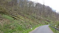 Bild: Naturschutz im Schumannstal
