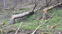Bild: Naturschutz im Schumannstal