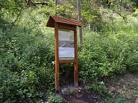 Bild: Naturschutz im Schumannstal