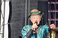 Bild: 23.Altstadtfest