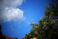23.Altstadtfest Bild: 23.Altstadtfest