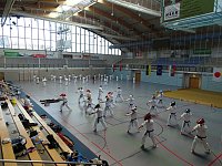Der Nordhäuser Karate Do Kwai lud zum internationalen Trainingslager Bild: Der Nordhäuser Karate Do Kwai lud zum internationalen Trainingslager