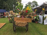 Park- und Seerosenfest in Werna Bild: Park- und Seerosenfest in Werna