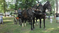 Park- und Seerosenfest in Werna Bild: Park- und Seerosenfest in Werna