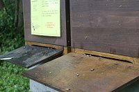 Erster Nordthüringer Bienenlehrpfad eröffnet Bild: Erster Nordthüringer Bienenlehrpfad eröffnet