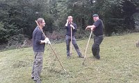 Mahd gegen den Gipsabbau Bild: Mahd gegen den Gipsabbau