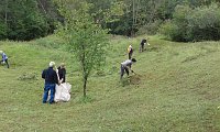 Mahd gegen den Gipsabbau Bild: Mahd gegen den Gipsabbau