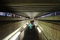 Bild: Tag der offenen T&uuml;r im Stra&szlig;enbahndepot