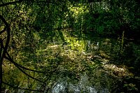 Ausflug zur Salzaquelle Bild: Ausflug zur Salzaquelle