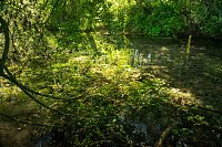 Ausflug zur Salzaquelle Bild: Ausflug zur Salzaquelle