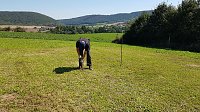 Köhlertage an der Arche Nebra Bild: Köhlertage an der Arche Nebra