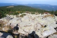 Bild: Auf den Brocken