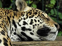 Bild: Zu Gast im Tierpark Dessau