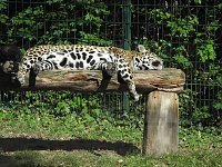 Bild: Zu Gast im Tierpark Dessau