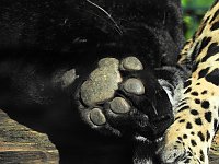 Bild: Zu Gast im Tierpark Dessau