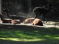 Bild: Zu Gast im Tierpark Dessau