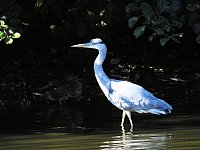Bild: Zu Gast im Tierpark Dessau