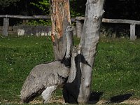 Bild: Zu Gast im Tierpark Dessau