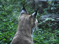 Bild: Zu Gast im Tierpark Dessau